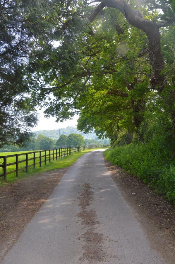 The Hideaway-South Downs National Park Apartment Graffham ภายนอก รูปภาพ